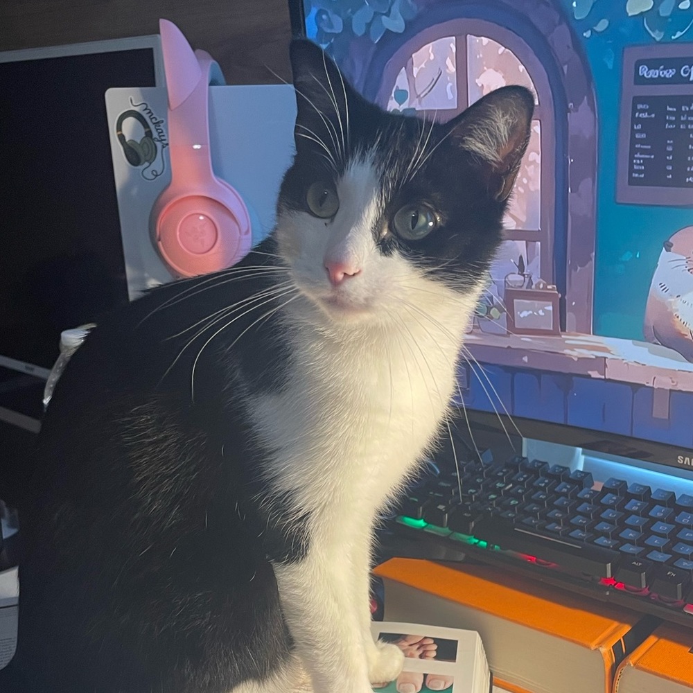 Meet your Posher, Breanna